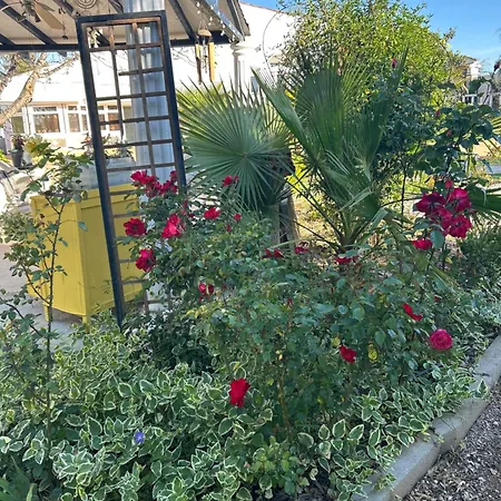Villa Cheste Valencia